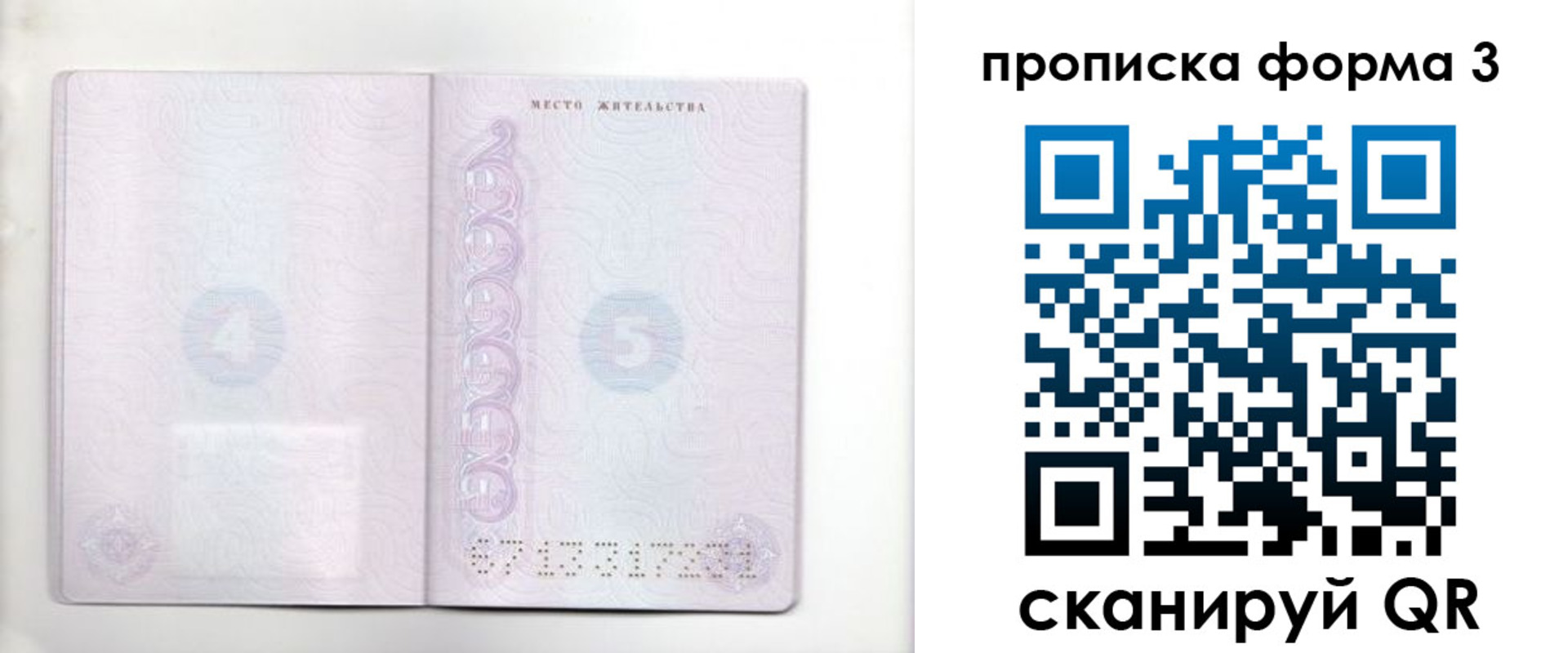 прописка гарантия в Куйбышеве